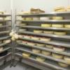 azienda-casa-venfri-3_31_g 